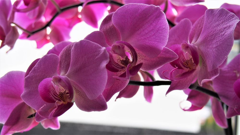 Ale wróciłem do domu a tu....