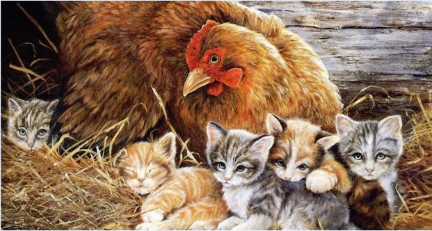 Ko...ko...ko...cięta na święta